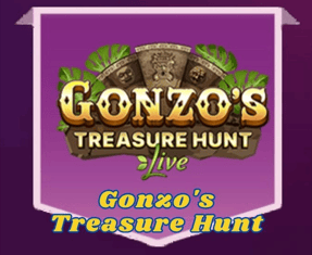 Gonzos Treasure